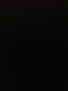 Meet your Posher, Bonnie